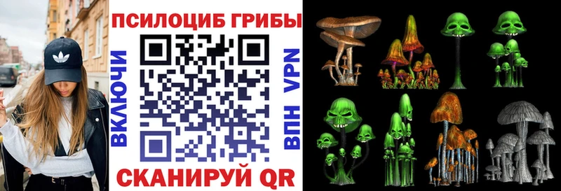 где продают наркотики  Железноводск  kraken зеркало  Псилоцибиновые грибы Cubensis 